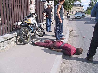 mocis1.jpg