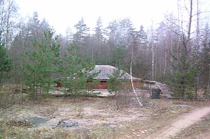 gul4.jpg