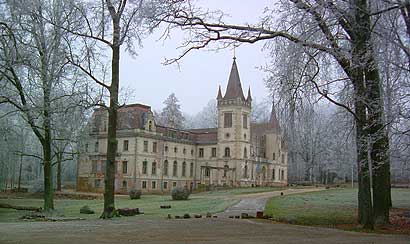 gul6.jpg