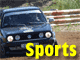 Sporta zi�as